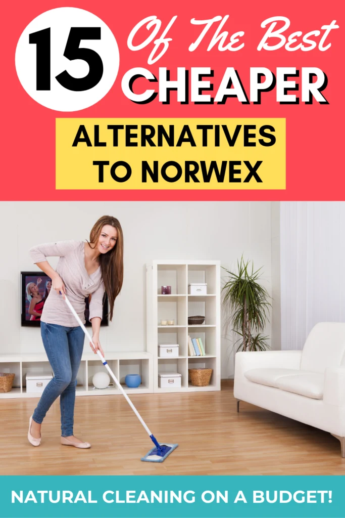 Norwex Cleaning Products: An Environmentally and Economic Friendly  Alternative for Home Cleaning