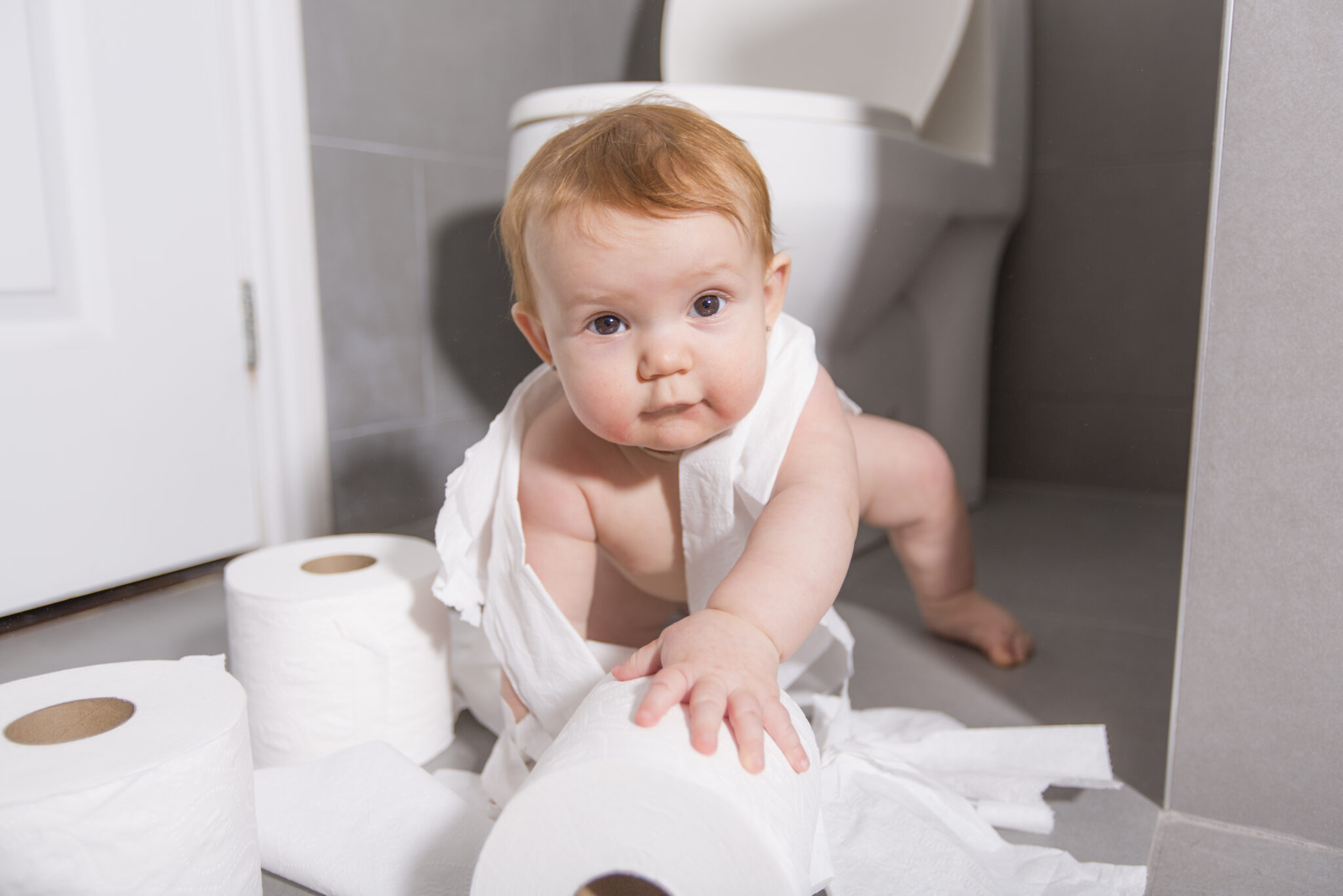 Which Is the Best Value Toilet Paper? - Smart Family Money